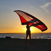 Carbon Handle Wing Foils Inflatable Wingfoiling Wind Foil Surfing Kite 1.5kg To 3.0kg